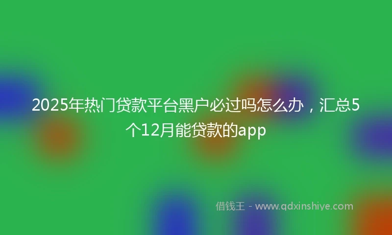2025年热门贷款平台黑户必过吗怎么办，汇总5个12月能贷款的app