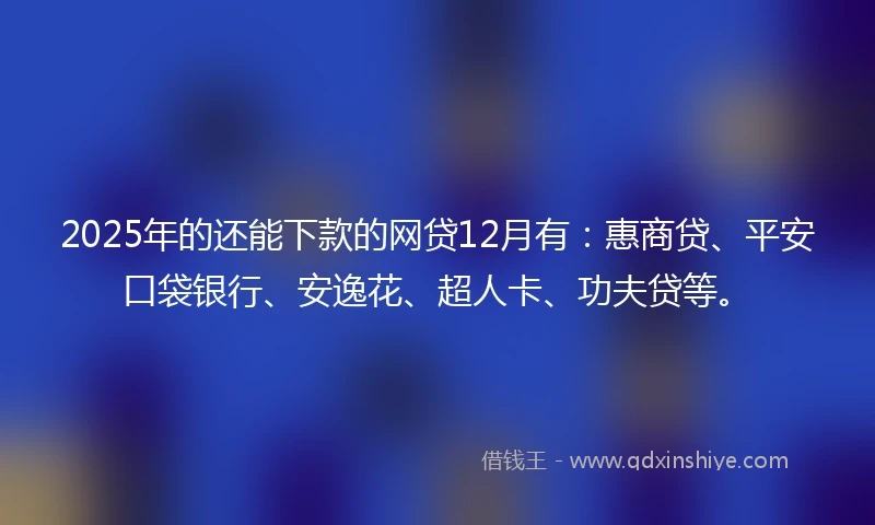 2025年的还能下款的网贷12月有：惠商贷、平安口袋银行、安逸花、超人卡、功夫贷等。