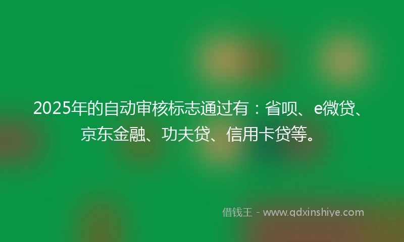 2025年的自动审核标志通过有：省呗、e微贷、京东金融、功夫贷、信用卡贷等。