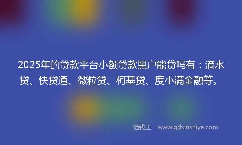 2025年的贷款平台小额贷款黑户能贷吗有：滴水贷、快贷通、微粒贷、柯基贷、度小满金融等。