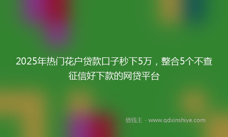 2025年热门花户贷款口子秒下5万,整合5个不查征信好下款的网贷平台