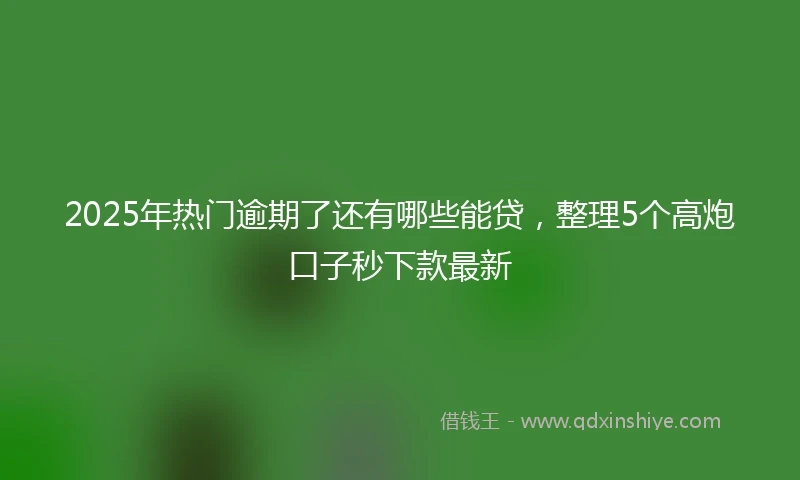 2025年热门逾期了还有哪些能贷，整理5个高炮口子秒下款最新