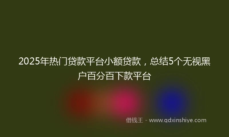 2025年热门贷款平台小额贷款，总结5个无视黑户百分百下款平台
