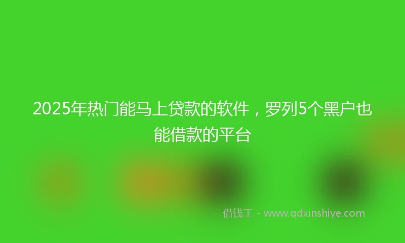 2025年热门能马上贷款的软件，罗列5个黑户也能借款的平台