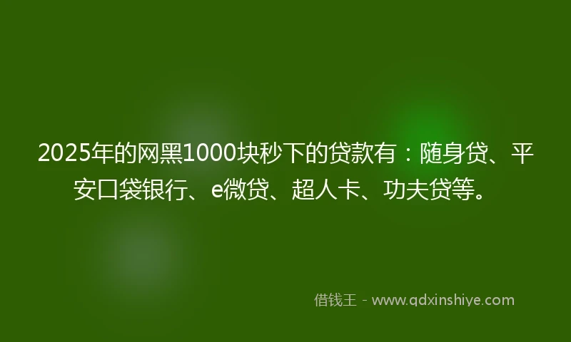 2025年的网黑1000块秒下的贷款有：随身贷、平安口袋银行、e微贷、超人卡、功夫贷等。