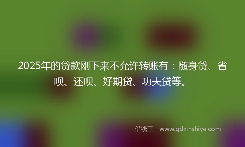 2025年的贷款刚下来不允许转账有：随身贷、省呗、还呗、好期贷、功夫贷等。