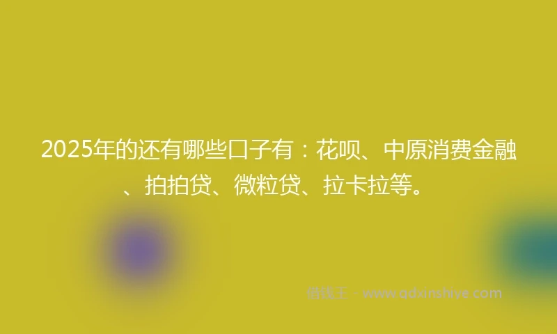 2025年的还有哪些口子有：花呗、中原消费金融、拍拍贷、微粒贷、拉卡拉等。
