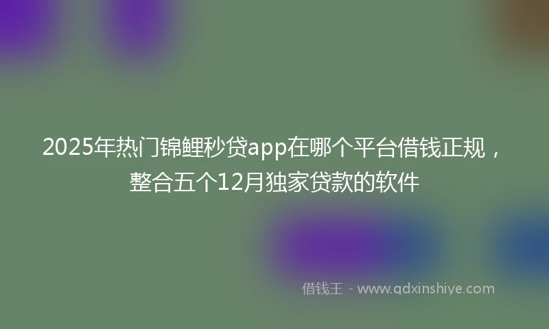 2025年热门锦鲤秒贷app在哪个平台借钱正规，整合五个12月独家贷款的软件