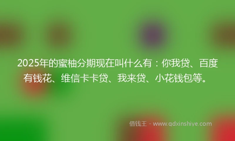 2025年的蜜柚分期现在叫什么有：你我贷、百度有钱花、维信卡卡贷、我来贷、小花钱包等。