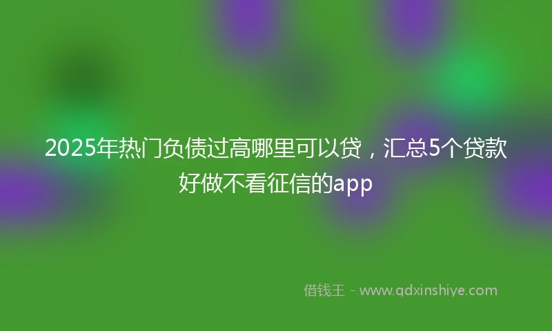 2025年热门负债过高哪里可以贷，汇总5个贷款好做不看征信的app