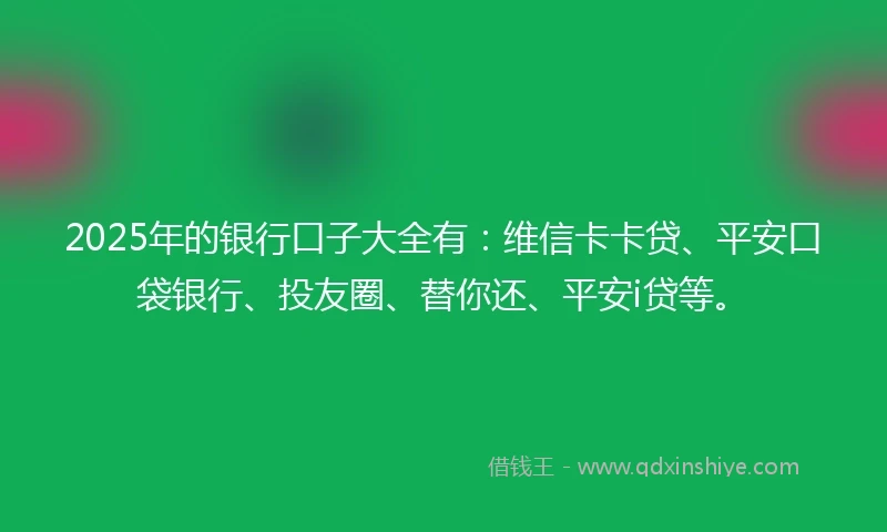 2025年的银行口子大全有：维信卡卡贷、平安口袋银行、投友圈、替你还、平安i贷等。