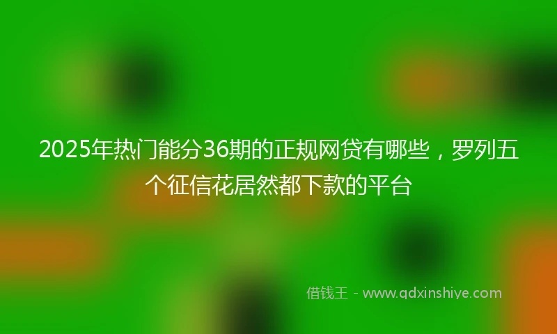 2025年热门能分36期的正规网贷有哪些，罗列五个征信花居然都下款的平台