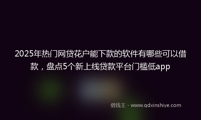2025年热门网贷花户能下款的软件有哪些可以借款，盘点5个新上线贷款平台门槛低app