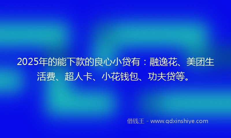 2025年的能下款的良心小贷有：融逸花、美团生活费、超人卡、小花钱包、功夫贷等。