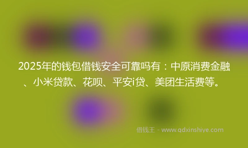 2025年的钱包借钱安全可靠吗有：中原消费金融、小米贷款、花呗、平安i贷、美团生活费等。