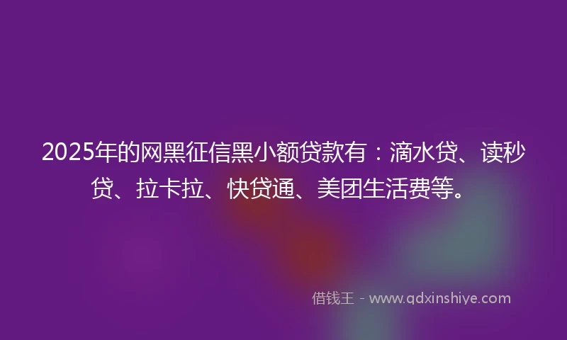 2025年的网黑征信黑小额贷款有：滴水贷、读秒贷、拉卡拉、快贷通、美团生活费等。
