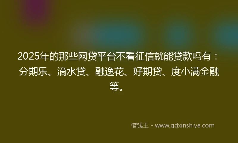 2025年的那些网贷平台不看征信就能贷款吗有：分期乐、滴水贷、融逸花、好期贷、度小满金融等。