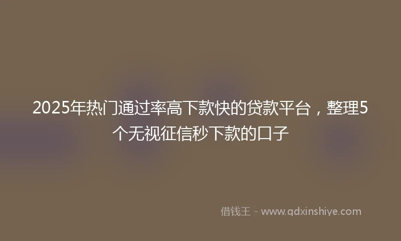 2025年热门通过率高下款快的贷款平台，整理5个无视征信秒下款的口子