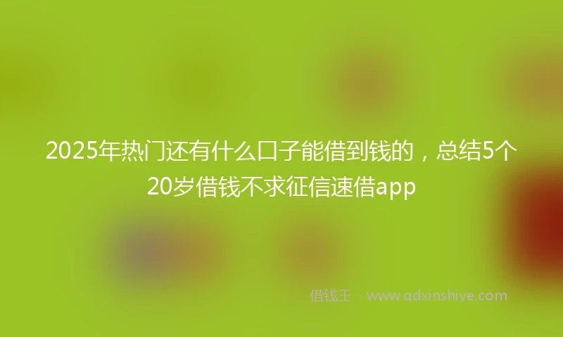 2025年热门还有什么口子能借到钱的，总结5个20岁借钱不求征信速借app