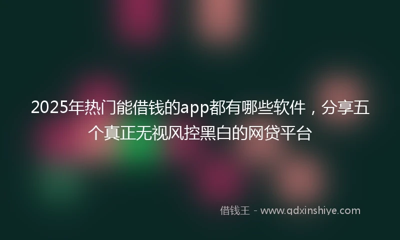 2025年热门能借钱的app都有哪些软件，分享五个真正无视风控黑白的网贷平台