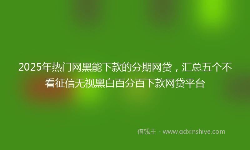 2025年热门网黑能下款的分期网贷，汇总五个不看征信无视黑白百分百下款网贷平台