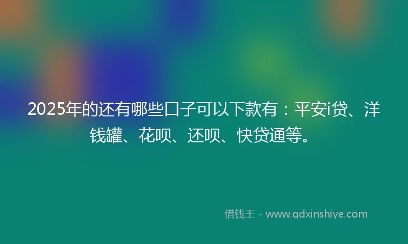 2025年的还有哪些口子可以下款有：平安i贷、洋钱罐、花呗、还呗、快贷通等。