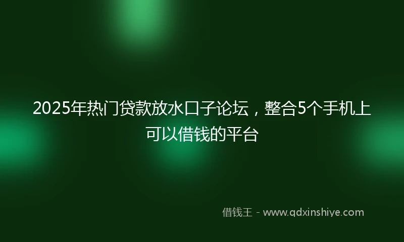 2025年热门贷款放水口子论坛，整合5个手机上可以借钱的平台