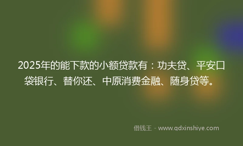 2025年的能下款的小额贷款有：功夫贷、平安口袋银行、替你还、中原消费金融、随身贷等。
