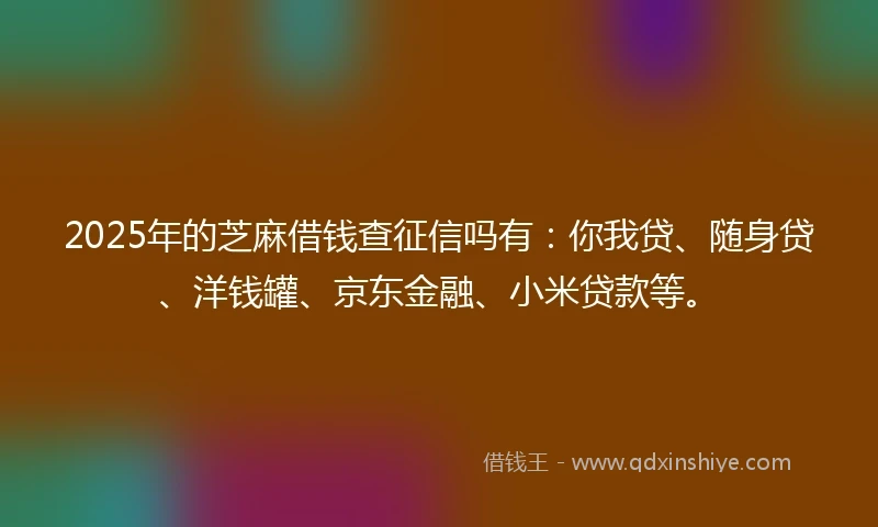 2025年的芝麻借钱查征信吗有：你我贷、随身贷、洋钱罐、京东金融、小米贷款等。