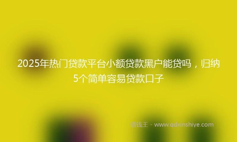 2025年热门贷款平台小额贷款黑户能贷吗，归纳5个简单容易贷款口子