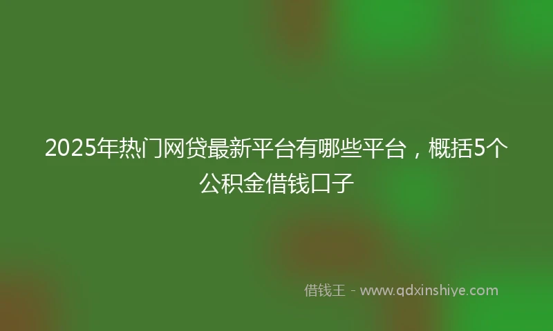 2025年热门网贷最新平台有哪些平台，概括5个公积金借钱口子