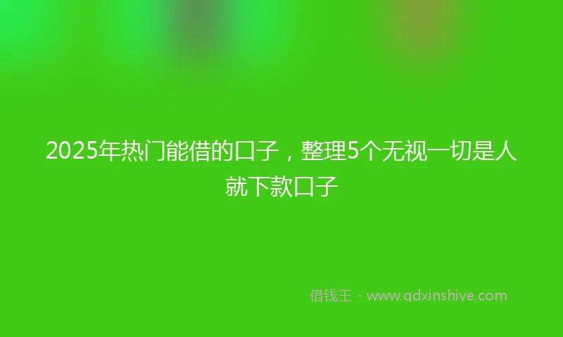 2025年热门能借的口子，整理5个无视一切是人就下款口子