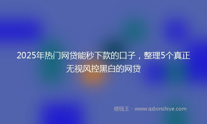 2025年热门网贷能秒下款的口子，整理5个真正无视风控黑白的网贷