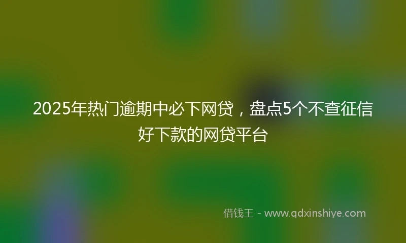 2025年热门逾期中必下网贷,盘点5个不查征信好下款的网贷平台