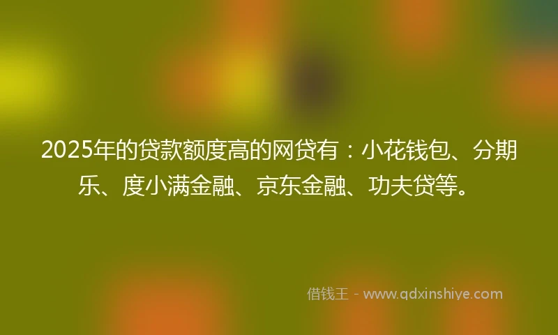 2025年的贷款额度高的网贷有：小花钱包、分期乐、度小满金融、京东金融、功夫贷等。