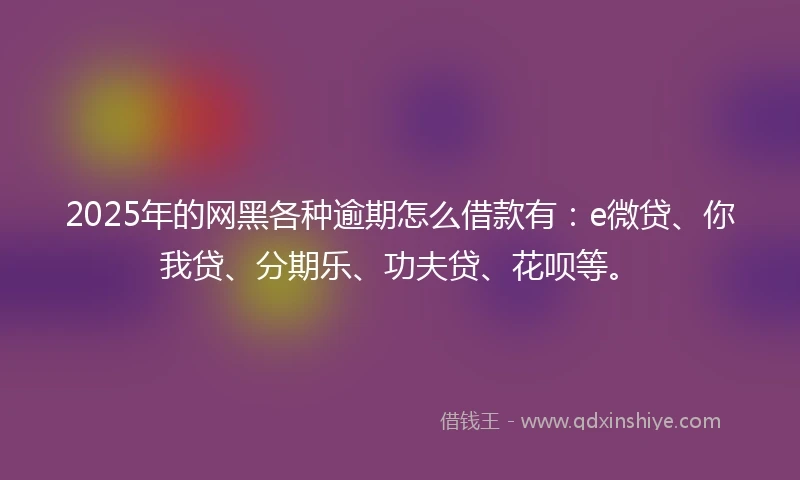 2025年的网黑各种逾期怎么借款有：e微贷、你我贷、分期乐、功夫贷、花呗等。