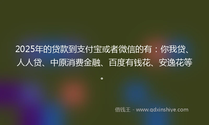 2025年的贷款到支付宝或者微信的有：你我贷、人人贷、中原消费金融、百度有钱花、安逸花等。