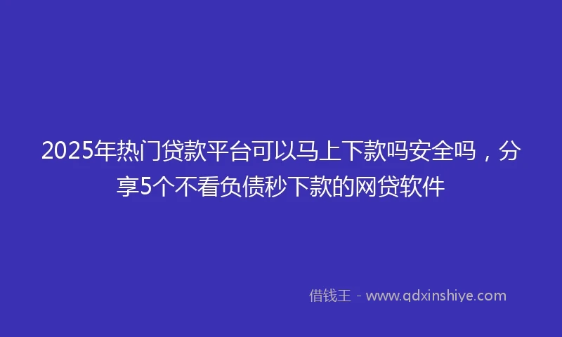 2025年热门贷款平台可以马上下款吗安全吗，分享5个不看负债秒下款的网贷软件