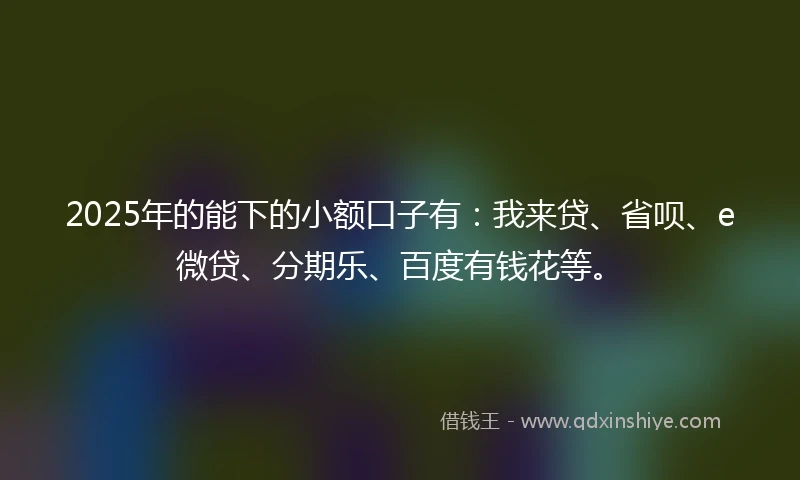 2025年的能下的小额口子有：我来贷、省呗、e微贷、分期乐、百度有钱花等。