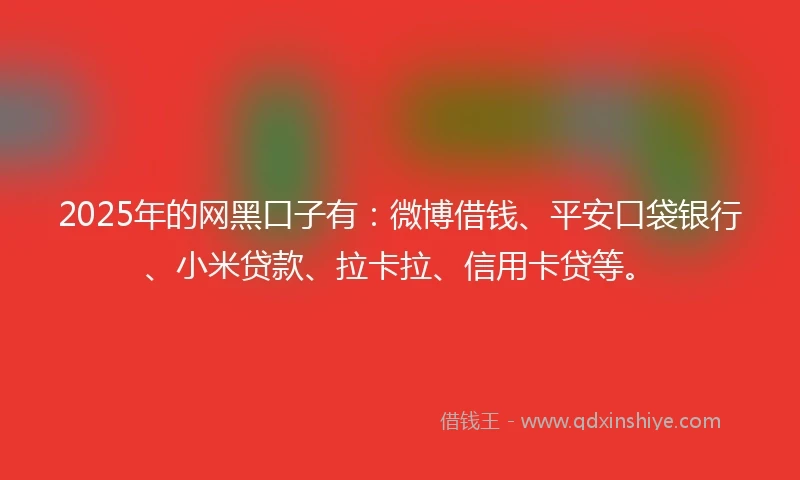 2025年的网黑口子有：微博借钱、平安口袋银行、小米贷款、拉卡拉、信用卡贷等。