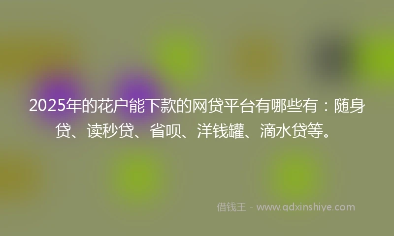 2025年的花户能下款的网贷平台有哪些有：随身贷、读秒贷、省呗、洋钱罐、滴水贷等。