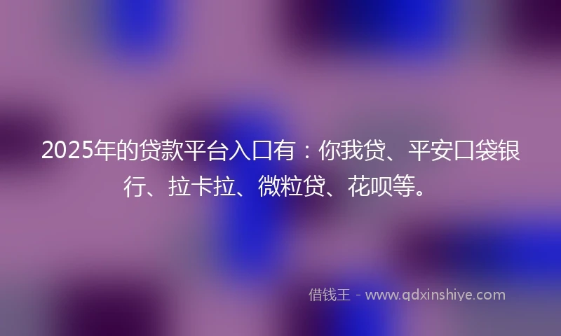 2025年的贷款平台入口有：你我贷、平安口袋银行、拉卡拉、微粒贷、花呗等。