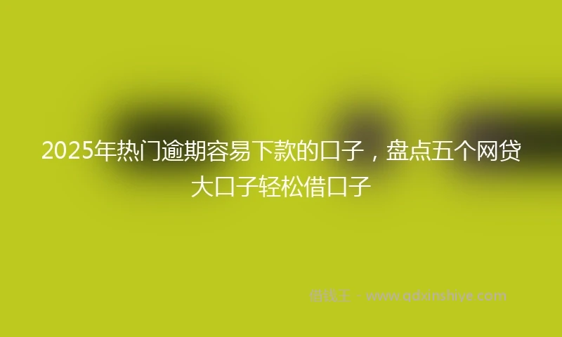 2025年热门逾期容易下款的口子，盘点五个网贷大口子轻松借口子
