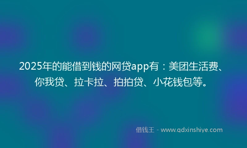 2025年的能借到钱的网贷app有：美团生活费、你我贷、拉卡拉、拍拍贷、小花钱包等。