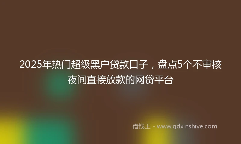2025年热门超级黑户贷款口子，盘点5个不审核夜间直接放款的网贷平台