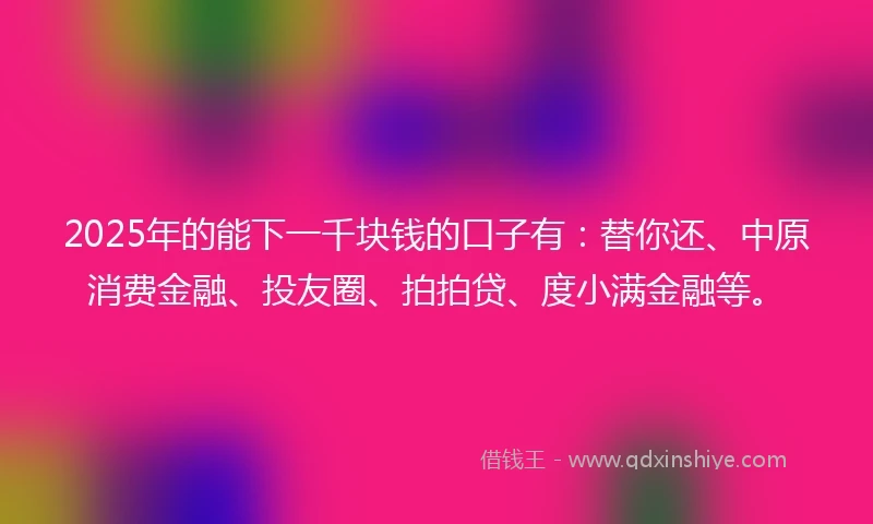 2025年的能下一千块钱的口子有：替你还、中原消费金融、投友圈、拍拍贷、度小满金融等。