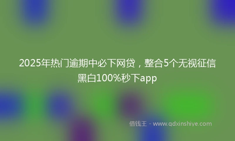 2025年热门逾期中必下网贷，整合5个无视征信黑白100%秒下app