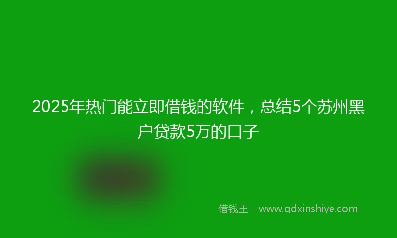 2025年热门能立即借钱的软件，总结5个苏州黑户贷款5万的口子