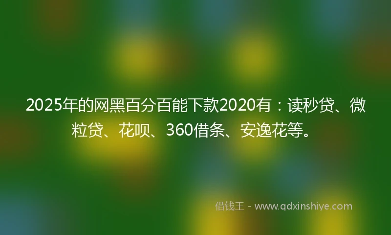 2025年的网黑百分百能下款2020有：读秒贷、微粒贷、花呗、360借条、安逸花等。