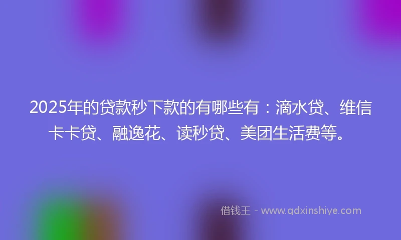 2025年的贷款秒下款的有哪些有：滴水贷、维信卡卡贷、融逸花、读秒贷、美团生活费等。